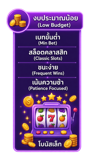งบประมาณน้อย